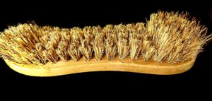 Bristles 