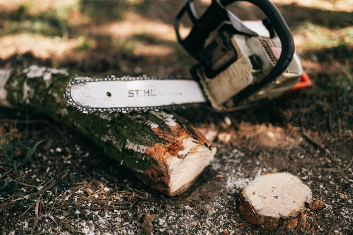 tree service