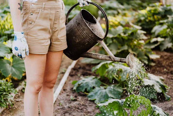 Reasons to Have Your Own Home Garden