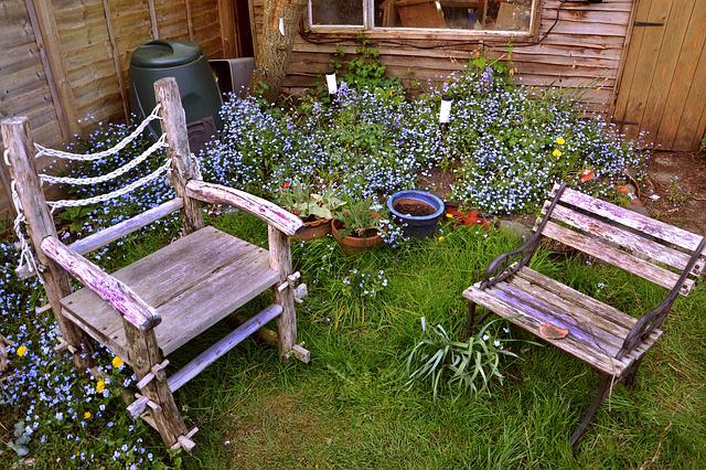 garden