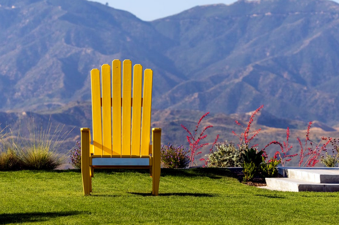 Modern Backyard Turf Designs: Sleek, Functional, and Stylish